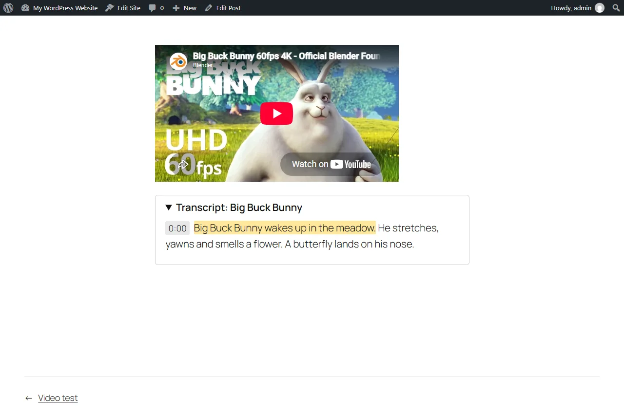 Transcript under a YouTube embed