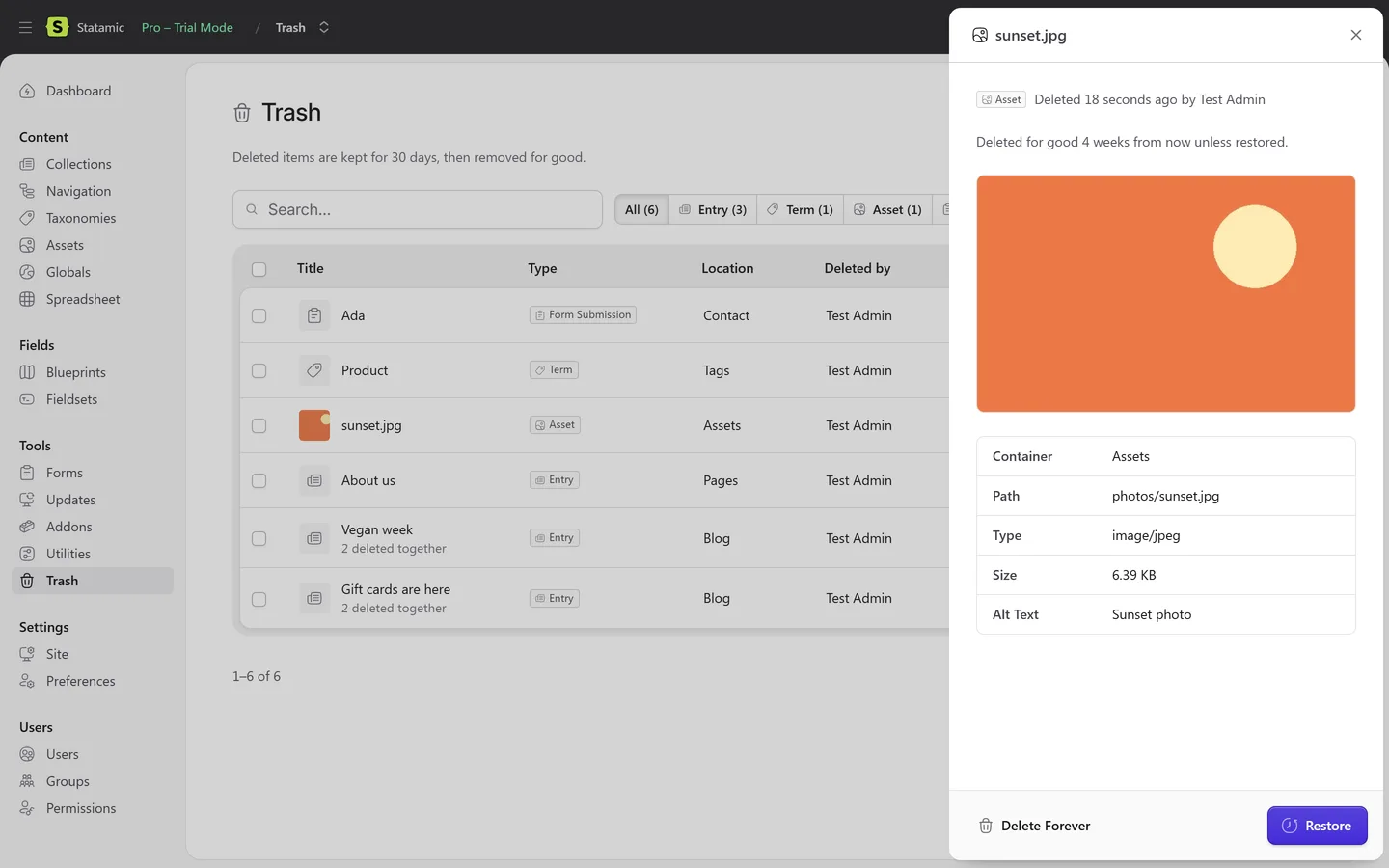 Preview of a deleted image asset with its file and fields