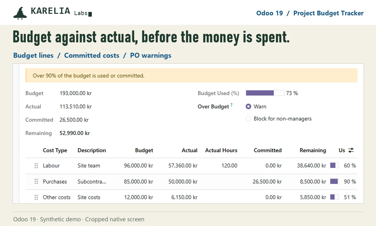 Budget tab of an Odoo 19 project with budget, actual, committed and remaining per cost type, synthetic demo data