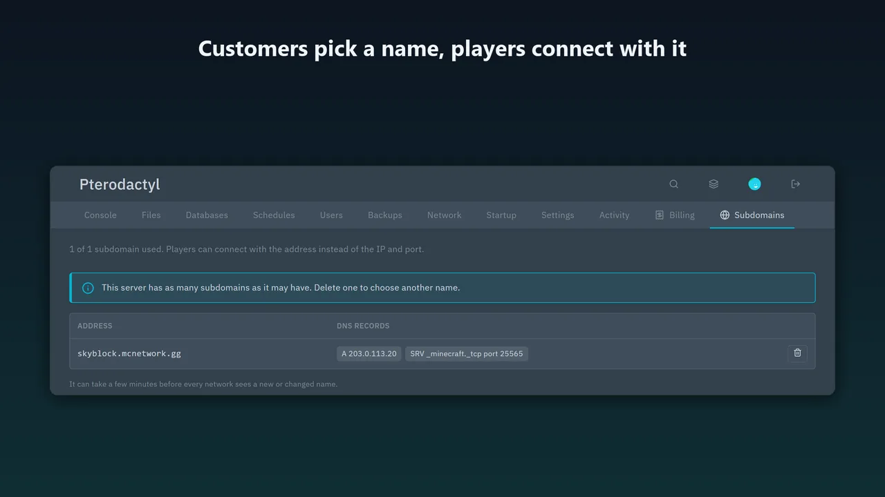 Subdomains tab on a Pterodactyl 2.0 server showing skyblock.mcnetwork.gg with its A record and Minecraft SRV record